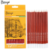 BIANYO CHARCOAL PENCIL SET : 12 PIECES FROM BLACK TO BROWN GRADIENT