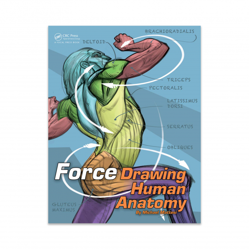 FORCE: DRAWING HUMAN ANATOMY BY MIKE MATTESI