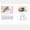 DRAWING AND PAINTING INSECTS